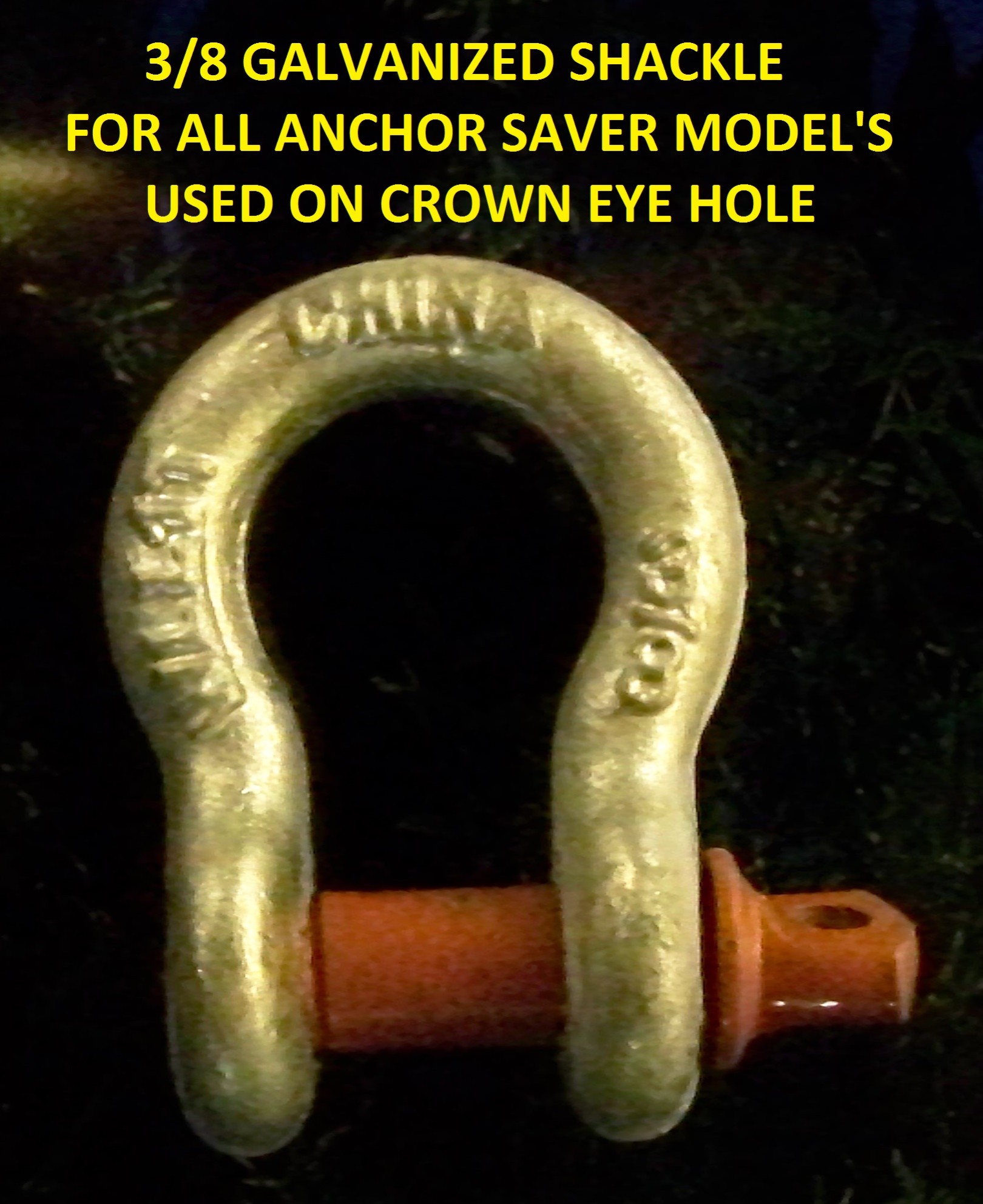 100_1966 e1435532994541