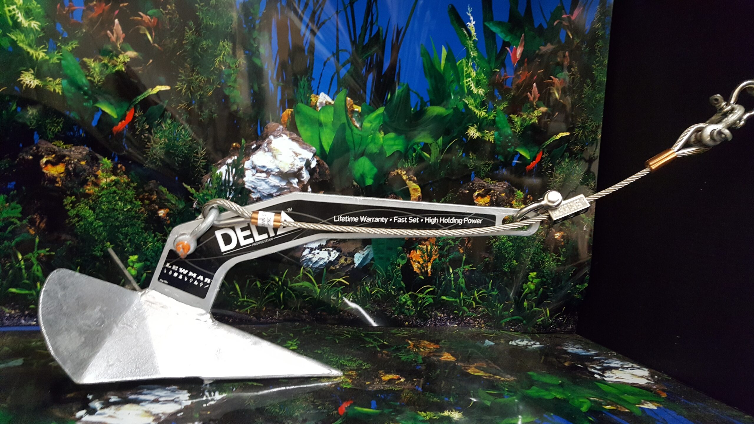 20170804_2035451 scaled 1