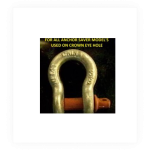 ANCHOR SAVER CROWN EYE 3/8″ Galv Shackle